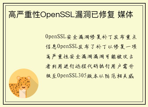 高严重性OpenSSL漏洞已修复 媒体